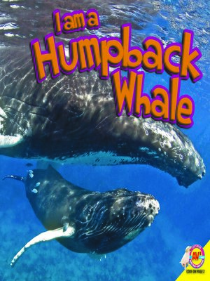 cover image of Humpback Whale